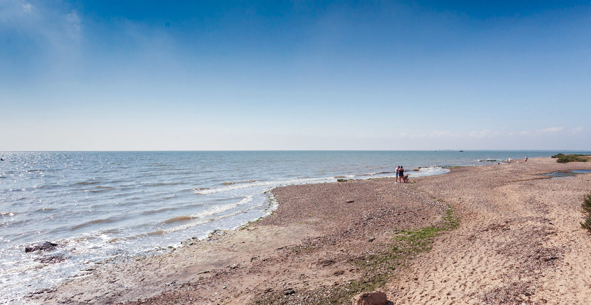 is mersea island dog friendly